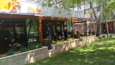 Златното пиле