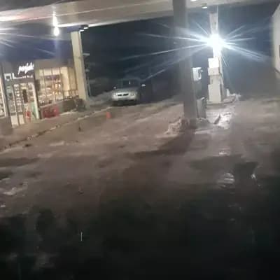 Петрол Видин