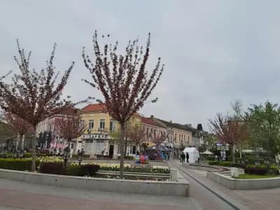 Магазин за цветя "Марая"