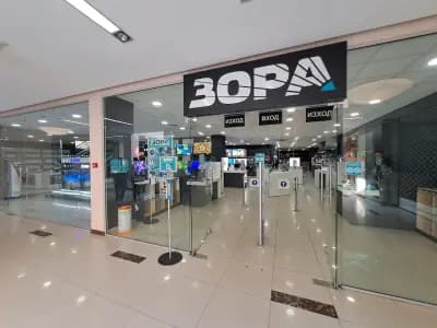 ЗОРА Видин