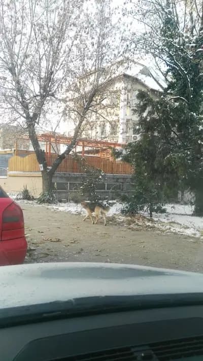 При Неков грил