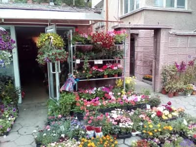 Bulgarien Travel