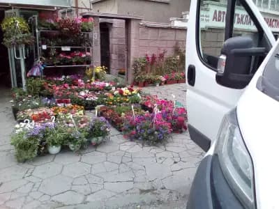 Bulgarien Travel