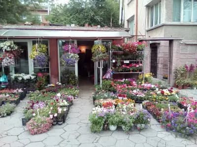 Bulgarien Travel