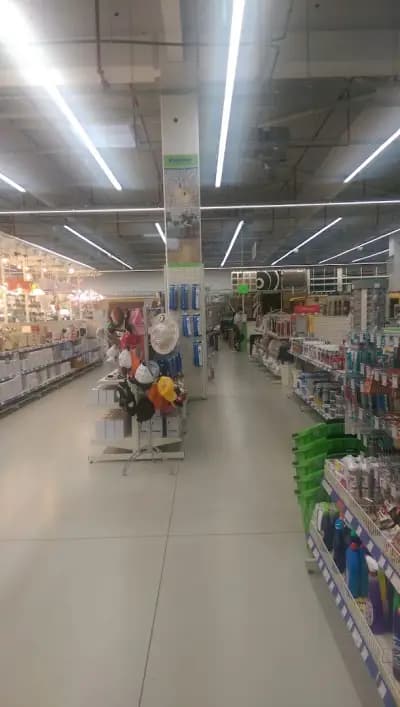 Практикер Варна