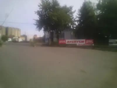 Даскалови ико оод