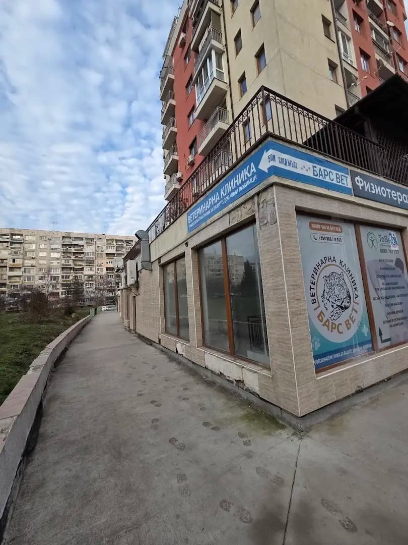 Барс вет