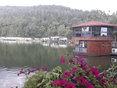 Уайт Хаус
