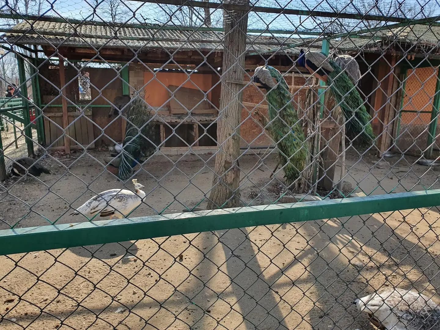 Зоологическа градина Пазарджик