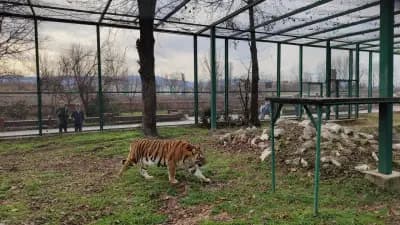 Зоологическа градина Пазарджик