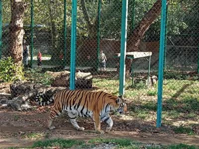Зоологическа градина Пазарджик