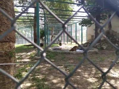 Зоологическа градина Пазарджик
