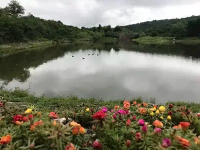 Park Hotel RAYA Garden