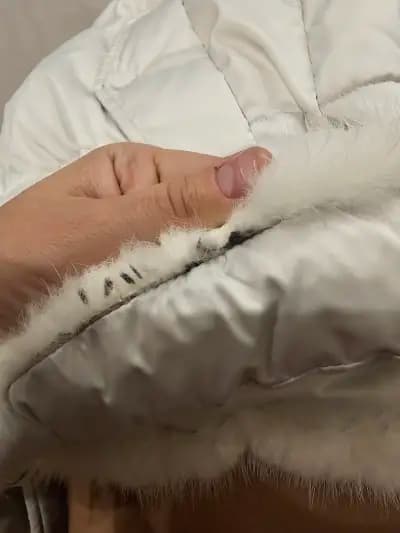 Clean Zone