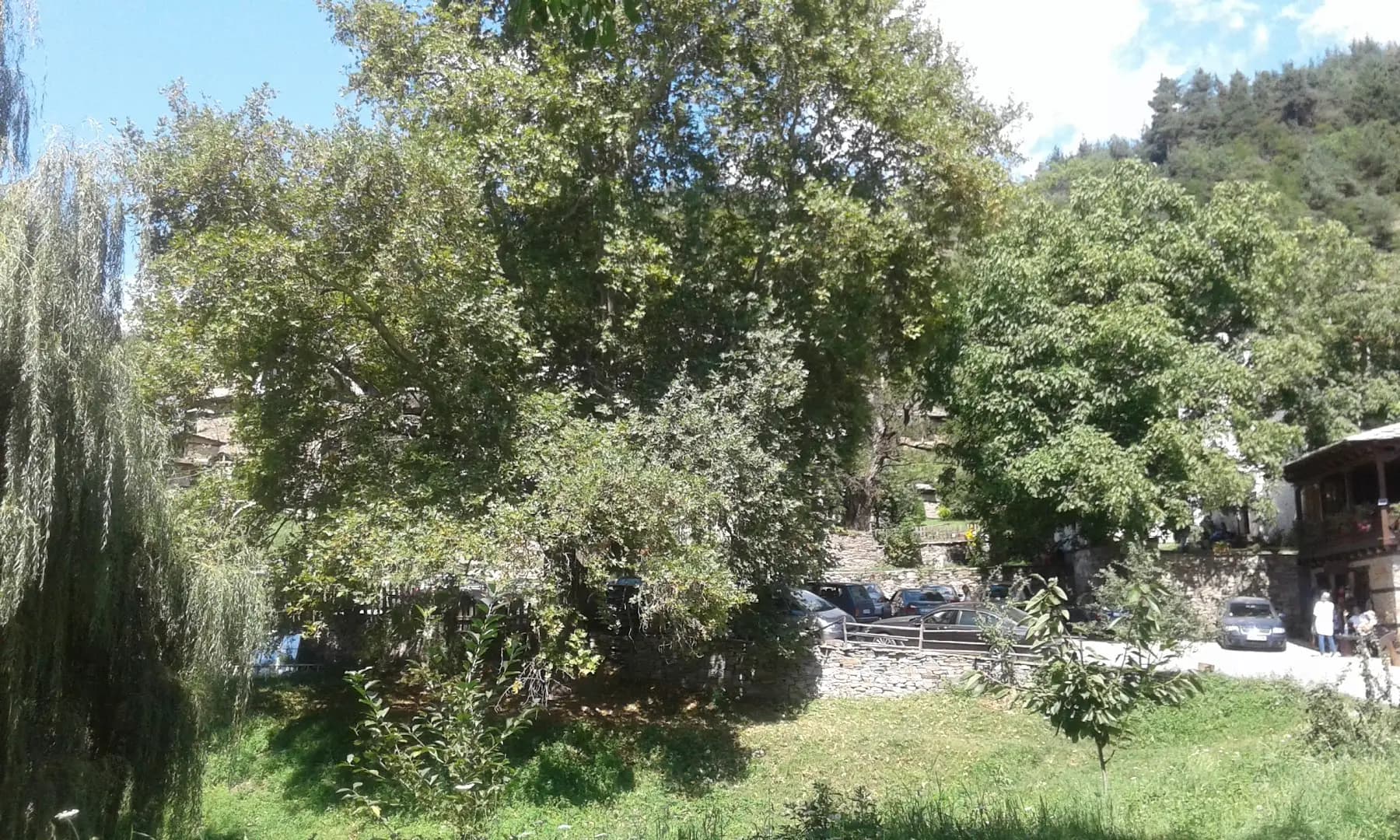 Тодорината къща