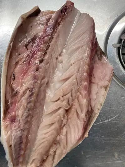 FISHZONE