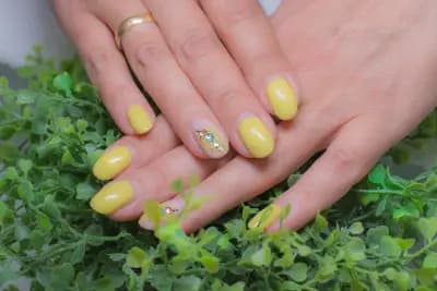 BEAUTY BOX by Silviya