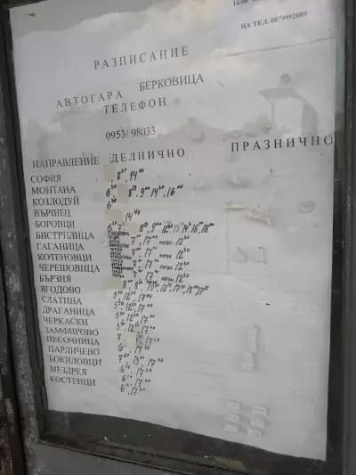 Автогара Берковица