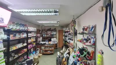 Зоомагазин ZooStore | Храна за кучета и котки