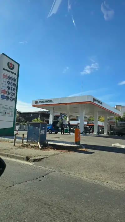 Insa oil