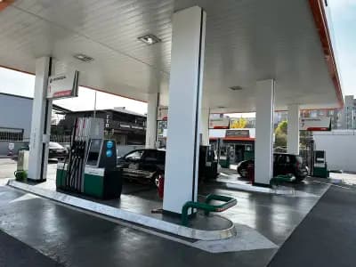 Insa oil