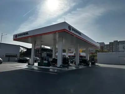 Insa oil