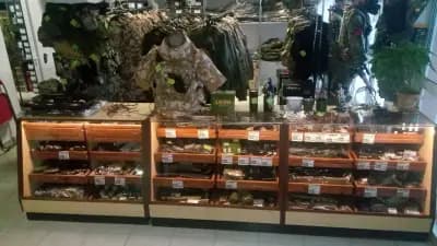 Army BG