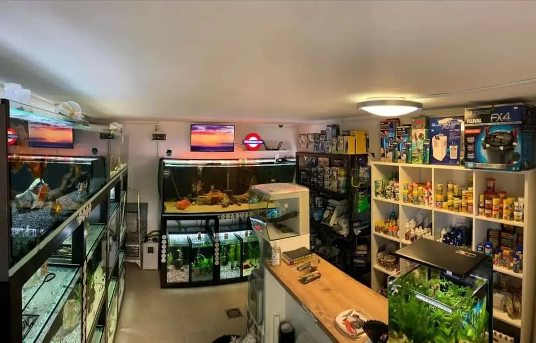 Basement fish room