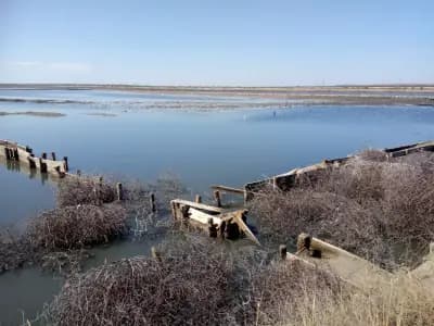 Поморийско езеро