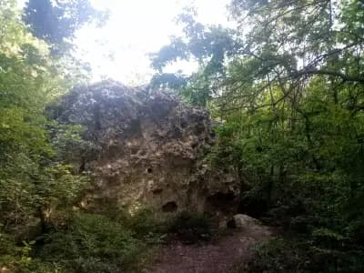 Природен парк Златни пясъци