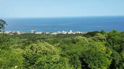 Природен парк Златни пясъци