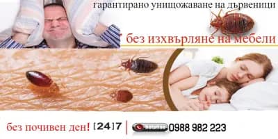ДДД-ИНСЕКТ-2012 Унищожаване на Вредители в Пазарджик и Пловдив