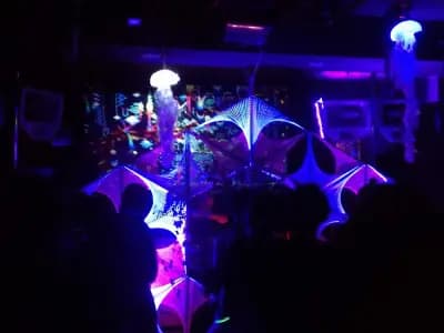 Vinyl shop and Bar Micro