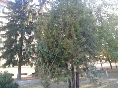 Професионална гимназия по механо-електротехника