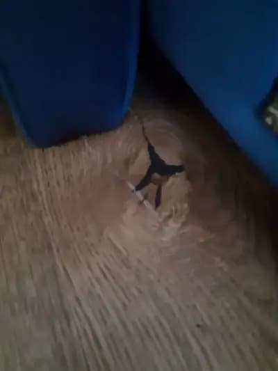 БЕРГ Пловдив