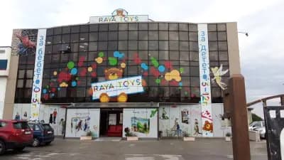 Raya Toys