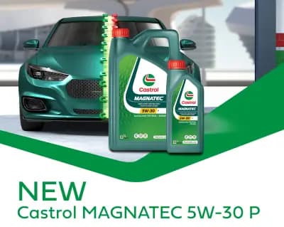 Castrol Service Дина 13