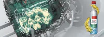Castrol Service Дина 13