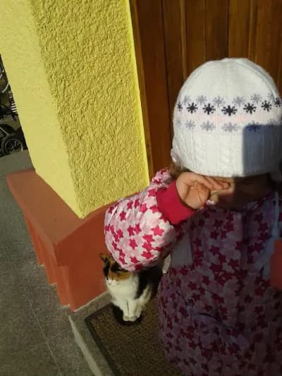 ЦЪРКВА СВЕТО ВЪЗНЕСЕНИЕ