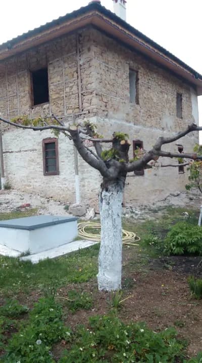Чирколовата Къща
