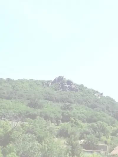 Чирколовата Къща
