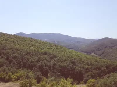 Чирколовата Къща