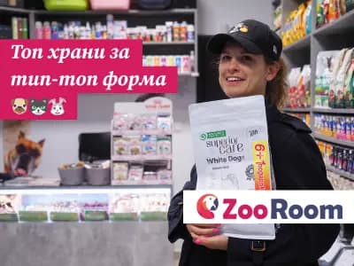 Зоомагазин Zoo Room