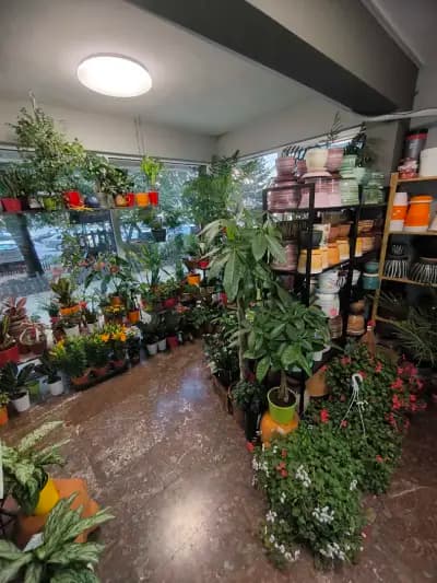Магазин за цветя Top Flowers.com
