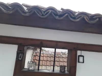 Контрабас