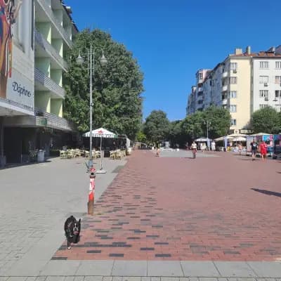 Фестивален и конгресен център - Варна