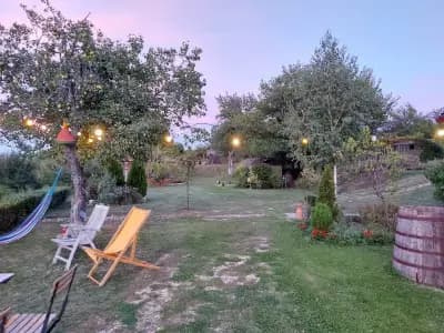 Cob Camp-Adults Only