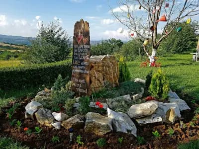 Cob Camp-Adults Only
