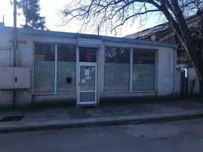 АИППМП Д-р Милена Димитрова-Пенчева