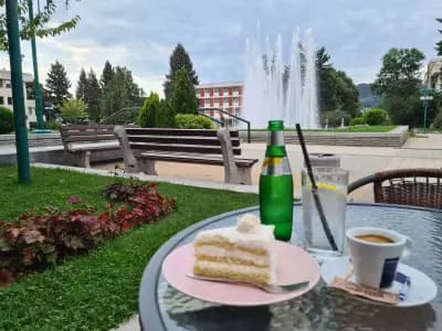 Бар-клуб Фламинго